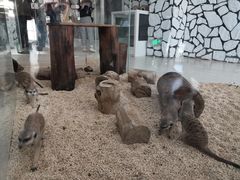 -海合安武汉极地海洋公园