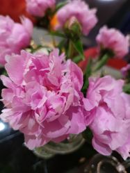 点击看大图 -花隐·美芙炫海菲秀皮肤管理中心