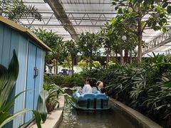 -南宫五洲植物乐园