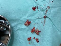 -南方医科大学口腔医院(番禺院区)