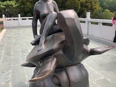 -广东惠东海龟国家级自然保护区