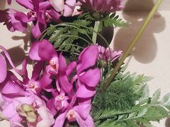 -顺峰(农展馆店)