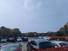 -同里国家湿地公园