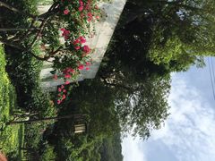 iphone_upload_pic-铁路文化公园