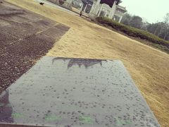 -江南第一家
