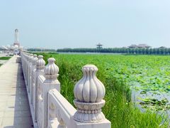 -呼兰河口湿地公园