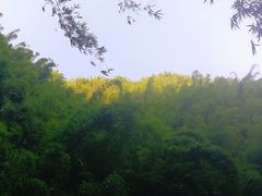 -阿依河景区