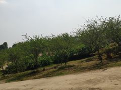-秀丽东方