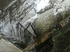 -白沙古井