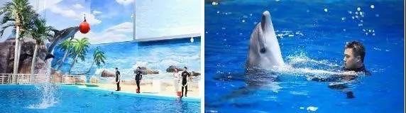 -福州罗源湾海洋世界旅游区