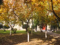 -辽宁大学(崇山校区)