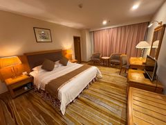 -成都绿洲大酒店(春熙路太古里店)