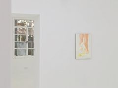 -胶囊画廊