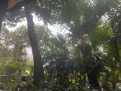 -融汇温泉