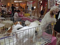 -宁波鄞州万达广场