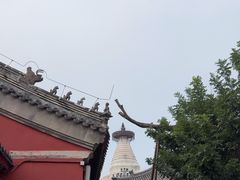 -妙应寺白塔
