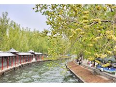 景点-北京动物园