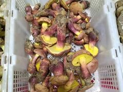 -双喜农庄·菌香园(安居家园店)