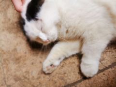 -老屋咖啡