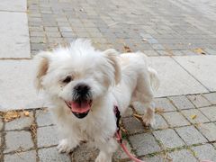 -天津前进宠物医院(前进道店)