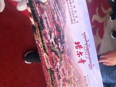 -塔尔寺-菩提树