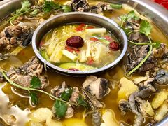 -黑河坝泡姜鸡贡椒鱼(贾旗路店)