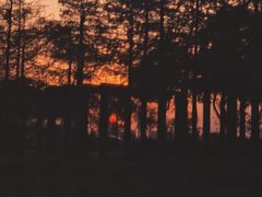 -春花秋色城市公园