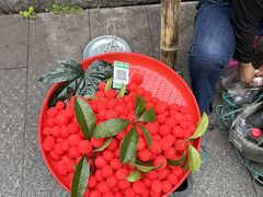 -磁器口古镇