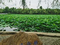 -长春市南湖公园