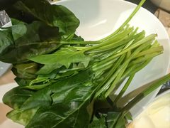 -蒙都43°9羊火锅(平庄店)