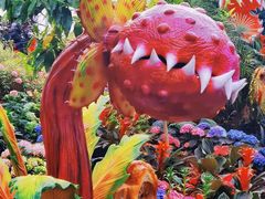 -沈阳植物园