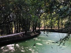 -东湖落雁景区