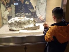 -自贡恐龙博物馆