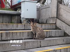 -黄鹤楼