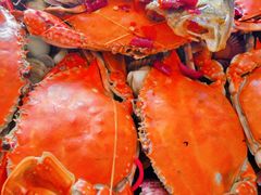 -晓伟海鲜家常菜