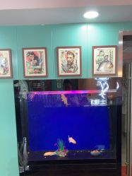 -尚逸男士理发馆·专注男发