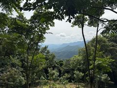 -广州市石门国家森林公园
