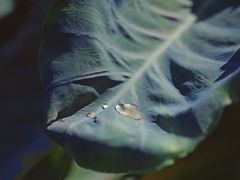 -里口山风景名胜区