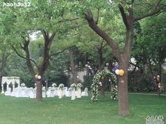 草坪-上海瑞金洲际酒店