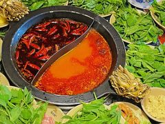 -蜀大侠火锅(总府路店)