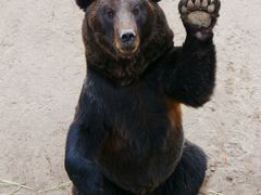 -哈尔滨北方森林动物园