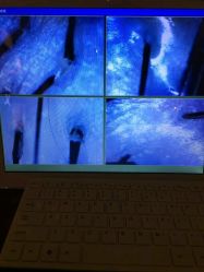 -IDO艾渡护肤造型