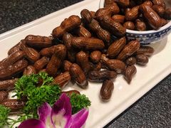 老佛爷花生-川旺角川粤融合菜•海景餐厅(星海广场店)