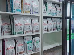 -爱侣宠医·鹦鹉专科·小型哺乳类·异宠专科(灵石路店)