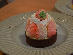-猫里有甜