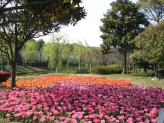 -上海鲜花港