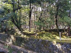 -西芳寺(苔寺)