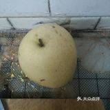 vip任务一:减脂瘦身银耳雪梨汤