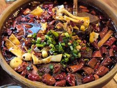 -青城甲(青城山店)