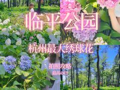 -临平公园(临平街道)